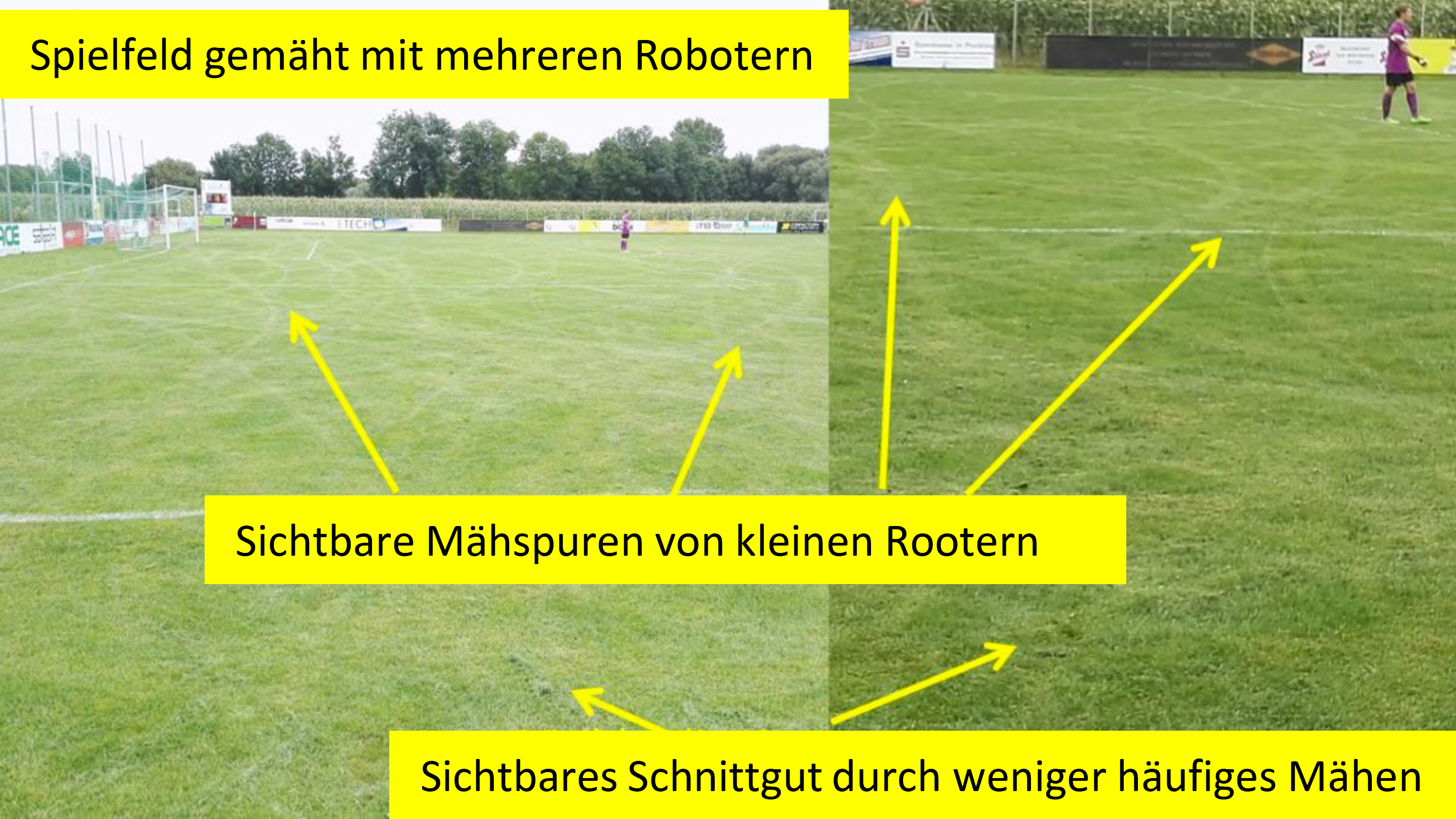 Mähroboter Sportplatz Probleme