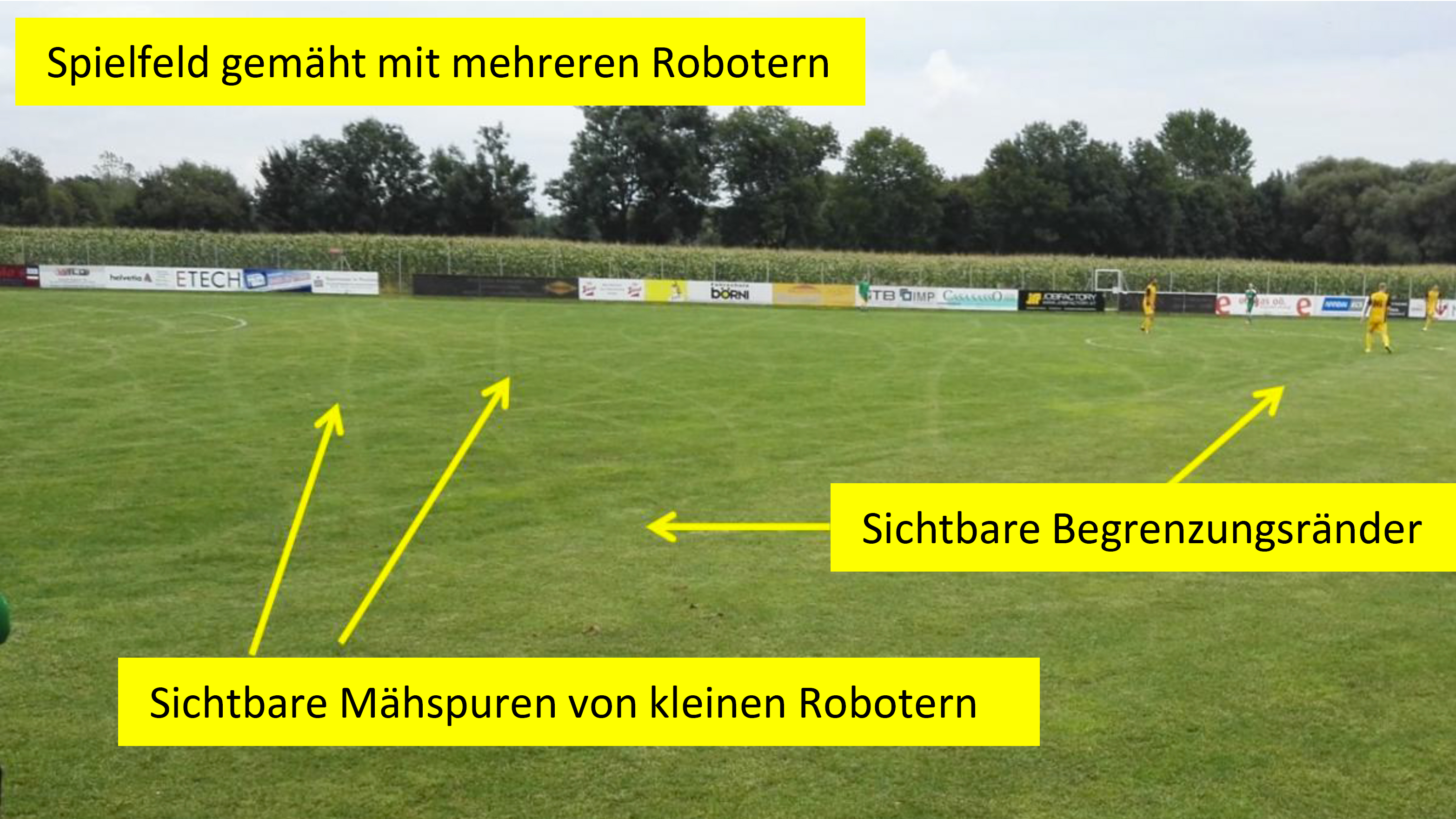 Sichtbare Mähspuren Mähroboter Sportplatz